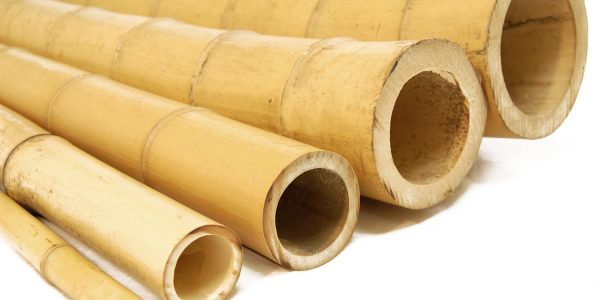 bamboo-poles-natural-side-600x300 מעצבים גינה יפה לקיץ  